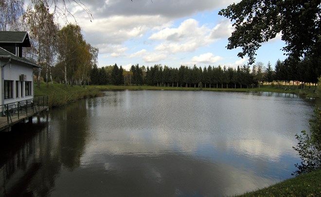 Zelena čistka