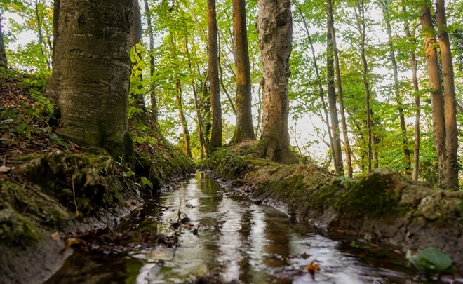 Izletniška točka Vranjevina