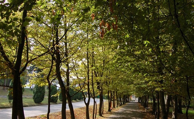 Julijev zdraviliški park