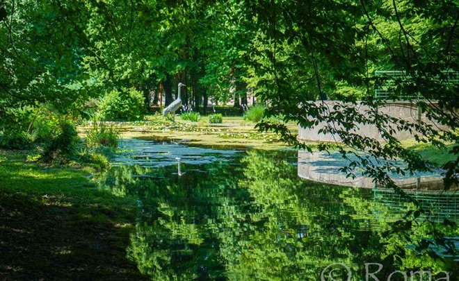 Naziv Žerjavovo mesto