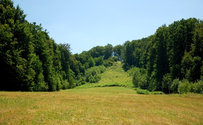Pohodništvo