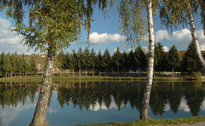 Sportovní rybaření