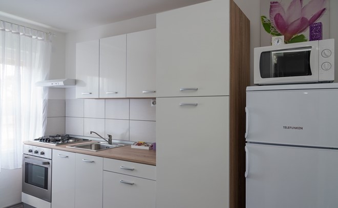 Studio apartma Toplica***