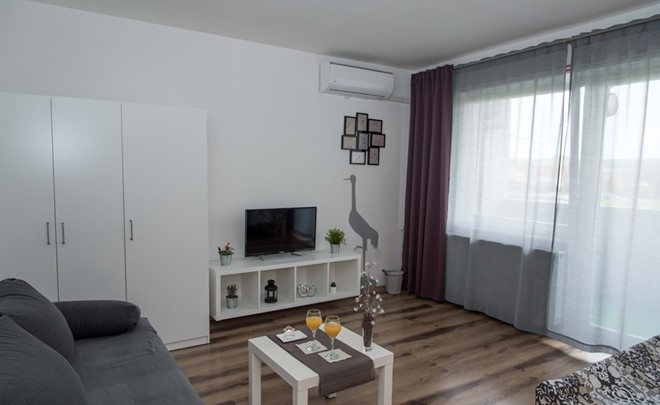 Studio apartma Ždral ***