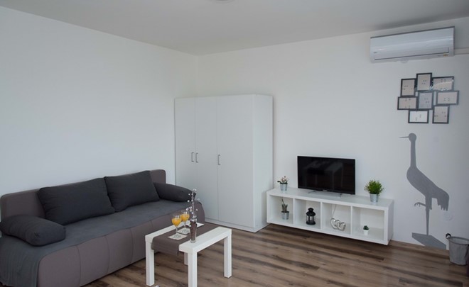 Studio apartma Ždral ***
