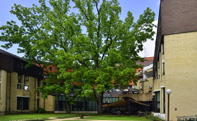 Lječilišni hotel Termal***