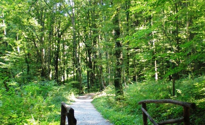 Učna pot Rimski gozdni park