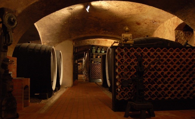 Vino
