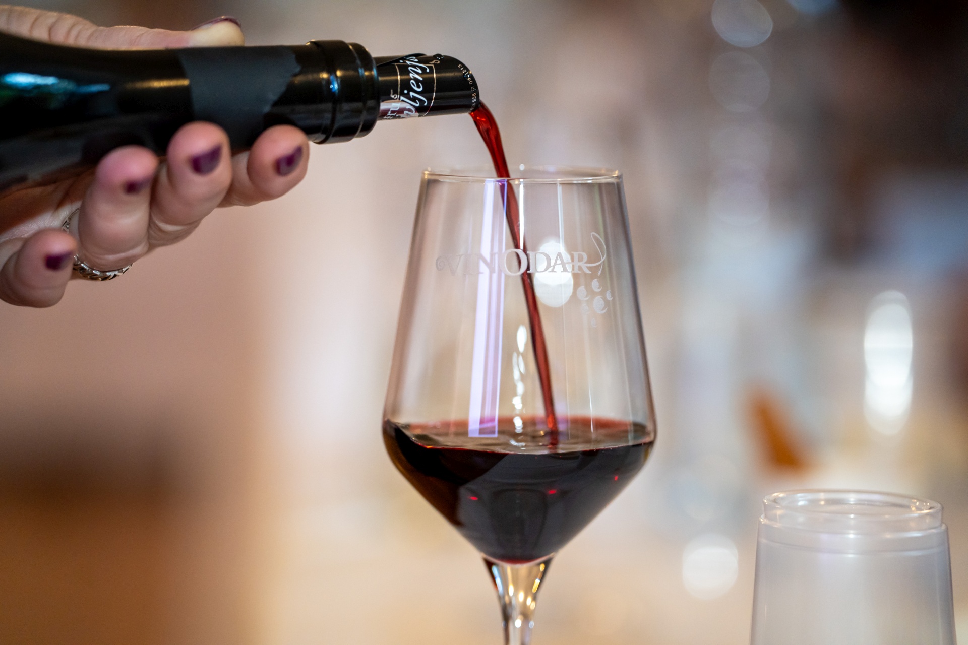 Vinodarautor_Saša_Selihar.jpg